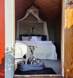 Annas Ställe B&B - 1