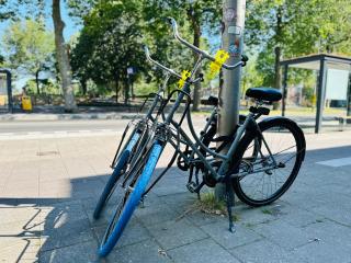 Sunshine Suites - Utrecht - 6