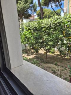 Angelana Luxury Apartments SOMON - Città di Rodi - 9