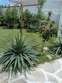 Elizabeth's apartment1 - 1