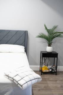 Urban Contemporary Apartment - Providence - 8