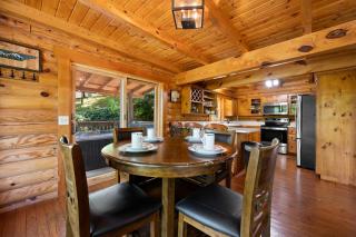 Family Cabin w Private Hot Tub- Game Rm- Disc Golf- Pets - 1