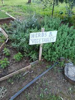 Elizabeth's apartment1 - 2