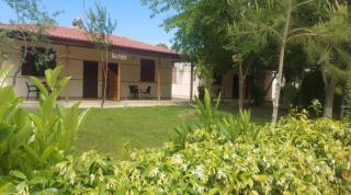 Vila 7 Divjake - Divjakë - 9