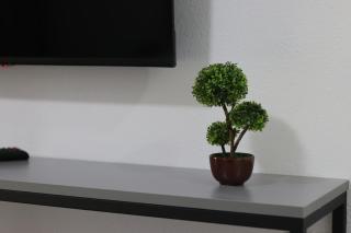 Neranxi Apartament - 1
