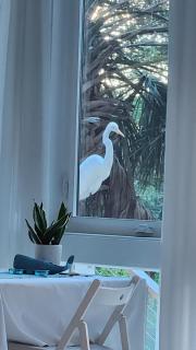 The Landing at Little Oak - Folly Beach - 8