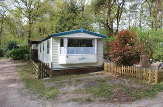 Boshuis Olijfje met heerlijke tuin voor natuurliefhebbers midden in het bos - IJhorst - 5
