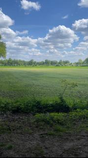 Boshuis Olijfje met heerlijke tuin voor natuurliefhebbers midden in het bos - IJhorst - 4