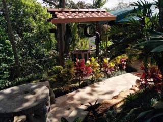 Bromelias - Tambor - 9