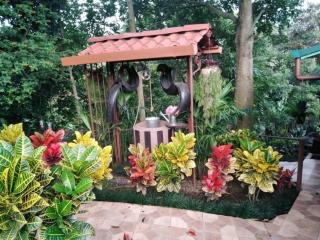 Bromelias - Tambor - 6