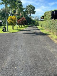 Bromelias - Tambor - 4