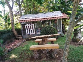 Bromelias - Tambor - 1
