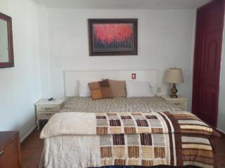 SOLACHE INN - Zitácuaro - 8
