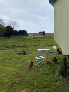 The Shepherds Hut - Hindringham - 1