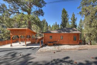Big Bear Cozy Cot - 5