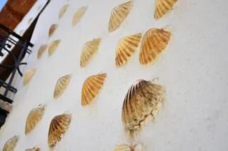Antigua Bodega Las Conchas - San Martín de Valdeiglesias - 0