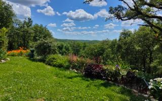 Le COLOMBIE GOULEME - 1