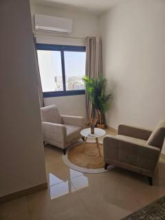 Nice F2 with new, modern furniture in Mermoz - Dakar - 2