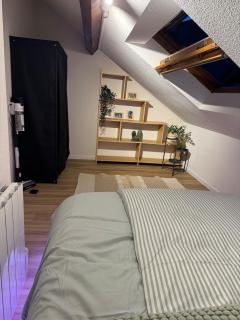 Appartement Dijon-centre quartier Montchapet - Dijon - 1