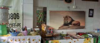 Pousada Shalom - Recife - 9