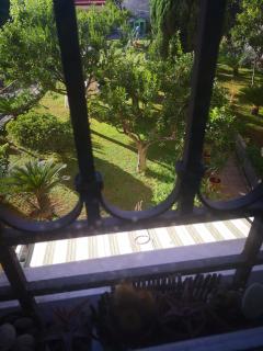 Terrazza Vesuvio - 7