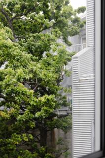 Spacious 3BR Retreat on City Fringe w Free Parking - Wellington - 2