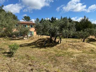 gite Le Mas des Oliviers - Draguignan - 2