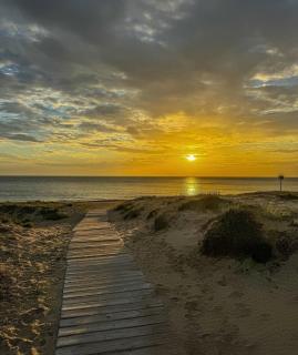 Apartment in front of Los Arenales del Sol Beach - Elx - 3