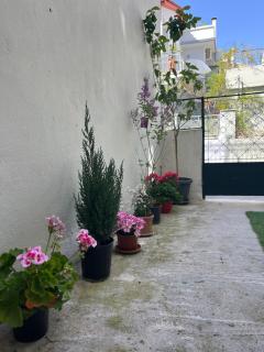 Noa - Designed garden studio in the city center - Kalamata - 9