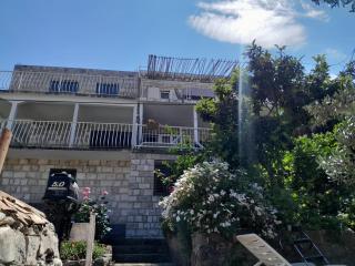 Apartments by the sea Prozurska Luka, Mljet - 4939 - Maranovići - 9