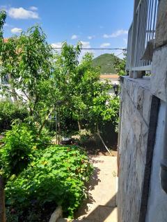 Apartments by the sea Prozurska Luka, Mljet - 4939 - Maranovići - 4