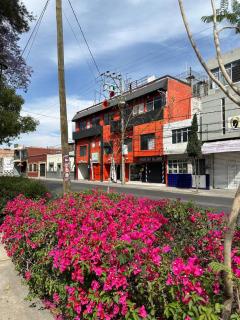 Hotel Posada Jardín Aguascalientes - Aguascalientes - 7