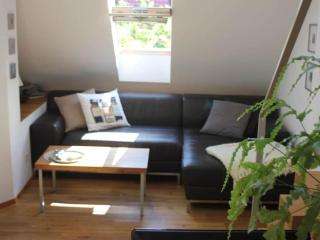 Holiday apartment with 2 bedrooms - Hasselfelde - 8