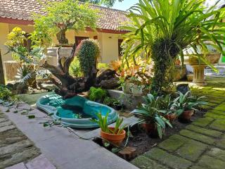 Bonsai Guesthouse Banyuwangi - Banyuwangi - 6