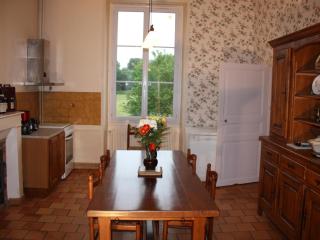 Maison XIXe, grand jardin clos, au cœur des vignobles, près de Chinon et de la Loire à Vélo - FR-1-381-445 - 6