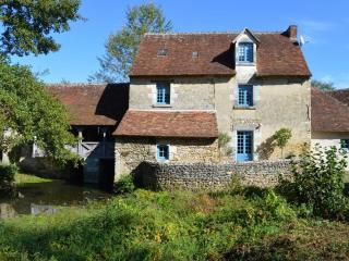 Moulin du XVème siècle avec jardin, pêche sur place, proche châteaux de la Loire et zoo de Beauval - FR-1-381-483 - Arpheuilles - 0