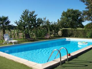 Gîte 18e avec piscine, jardin et équipements inclus, près des Châteaux de la Loire - FR-1-381-212 - Saint-Épain - 9