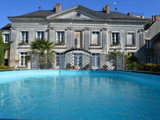 Château Authentique avec Piscine Privée, Proche Châteaux de la Loire et Zoo de Beauval - FR-1-381-485 - Châtillon-sur-Indre - 0