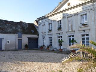 Château Authentique avec Piscine Privée, Proche Châteaux de la Loire et Zoo de Beauval - FR-1-381-485 - Châtillon-sur-Indre - 7
