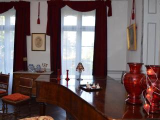 Château Authentique avec Piscine Privée, Proche Châteaux de la Loire et Zoo de Beauval - FR-1-381-485 - Châtillon-sur-Indre - 2