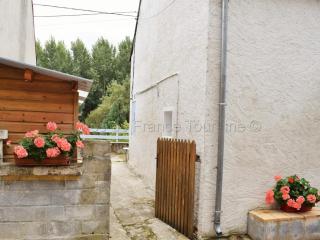 Charmante maison avec terrasse près des châteaux de la Loire, idéale pour familles et animaux acceptés - FR-1-381-154 - Limeray - 6