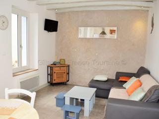 Charmante maison avec terrasse près des châteaux de la Loire, idéale pour familles et animaux acceptés - FR-1-381-154 - Limeray - 2