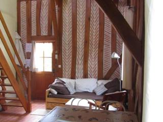 Gîte cosy avec piscine au cœur du Val de Loire, proche châteaux et balades pittoresques - FR-1-381-74 - Limeray - 6