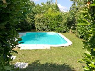 Gîte calme au cœur de vignoble bio avec piscine, proche Azay-le-Rideau - FR-1-381-238 - Brizay - 9