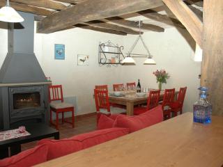 Gîte calme au cœur de vignoble bio avec piscine, proche Azay-le-Rideau - FR-1-381-238 - Brizay - 8