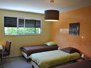 Grande maison moderne avec piscine à Tours, proche du centre-ville et de la Loire à Vélo - FR-1-381-231 - Tours - 4