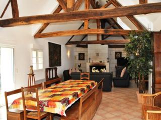 Gîte de charme près des Châteaux de la Loire avec jardin, terrasse et équipements pour familles - FR-1-381-359 - Azay-sur-Cher - 7
