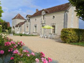 Maison de charme avec jardin clos près des vignobles - FR-1-381-262 - Parçay-sur-Vienne - 0