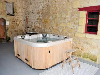 Élégante Demeure 17e avec Spa, Sauna et Authentique Cheminée, proche Châteaux de la Loire - FR-1-381-348 - Les Essards - 8
