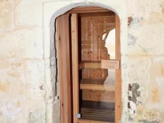 Élégante Demeure 17e avec Spa, Sauna et Authentique Cheminée, proche Châteaux de la Loire - FR-1-381-348 - Les Essards - 7